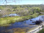 Woralie Creek, Fraser Is., QLD: by thomasz, Views[166]