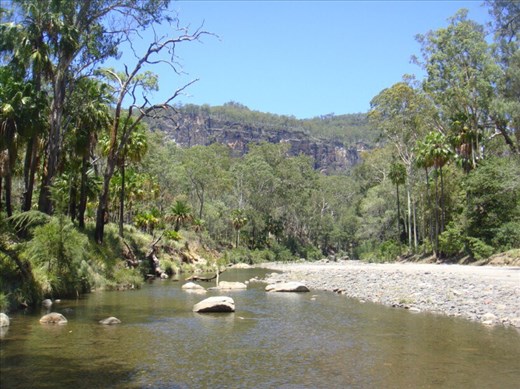 Carnarvon Gorge NP, QLD