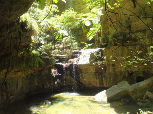 Moss Garden, Carnarvon Gorge NP, QLD