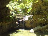 Moss Garden, Carnarvon Gorge NP, QLD: by thomasz, Views[149]
