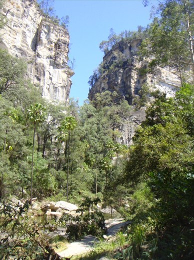 Down in the gorge, Carnarvon Gorge NP, QLD