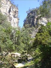 Down in the gorge, Carnarvon Gorge NP, QLD: by thomasz, Views[120]