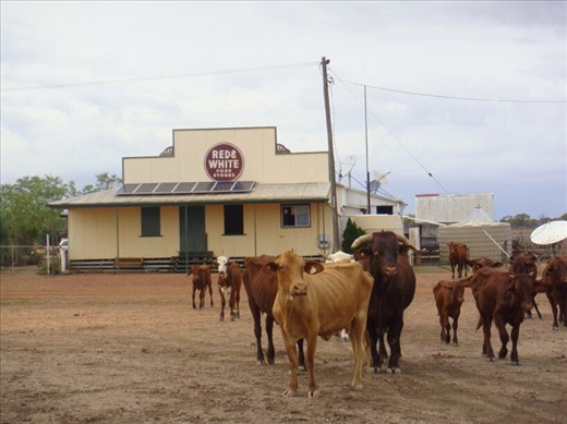 The only building in town, Emmet, QLD