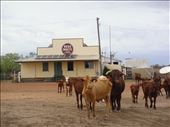 The only building in town, Emmet, QLD: by thomasz, Views[147]