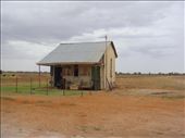 Bucolic, Windorah, QLD: by thomasz, Views[180]