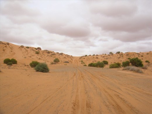 Little Red, Simpson Desert, QLD