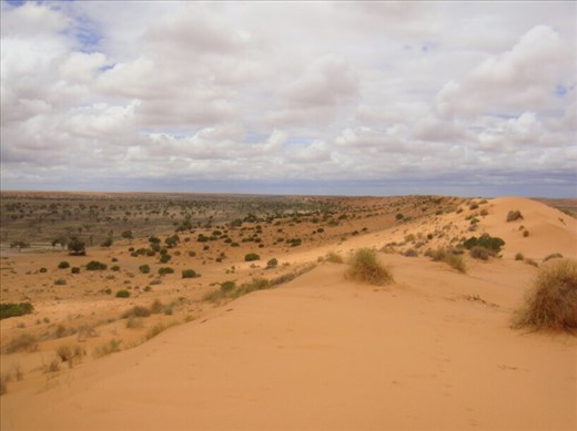 Nothing but sand, Simpson Desert, QLD