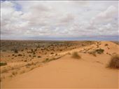 Nothing but sand, Simpson Desert, QLD: by thomasz, Views[128]