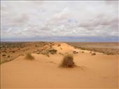 Dune as far as you can see, Simpson Desert, QLD: by thomasz, Views[190]