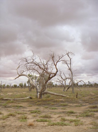 Welcome to Mordor, Simpson Desert, QLD