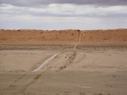 Ruts full of rain, Simpson Desert, QLD