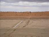 Ruts full of rain, Simpson Desert, QLD: by thomasz, Views[141]