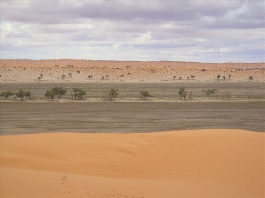 Simpson Desert = nothing but parallel dunes, Simpson Desert, QLD
