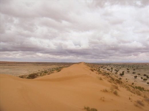 On top of Big Red, Simpson Desert, QLD