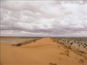 On top of Big Red, Simpson Desert, QLD: by thomasz, Views[213]