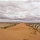 On top of Big Red, Simpson Desert, QLD: by thomasz, Views[154]