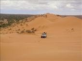 Cruising over dunes, Simpson Desert, QLD: by thomasz, Views[109]