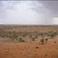 Storm approaching our camp, Simpson Desert, QLD: by thomasz, Views[137]