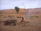Campfire in the desert, Simpson Desert, QLD: by thomasz, Views[147]