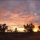 Sunrise, Simpson Desert, QLD: by thomasz, Views[152]
