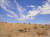 Finally good weather again, Birdsville Track, SA: by thomasz, Views[147]