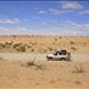 Still Simpson Desert, Bidsville Track, SA: by thomasz, Views[138]