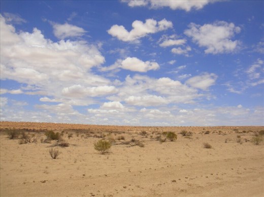 Real outback, Birdsville Track, SA