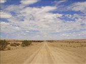 Dead straight, Birdsville Track, SA: by thomasz, Views[114]