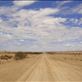 Dead straight, Birdsville Track, SA: by thomasz, Views[104]