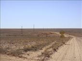 Heading to QLD border from Innamincka, SA: by thomasz, Views[181]