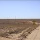 Heading to QLD border from Innamincka, SA: by thomasz, Views[160]