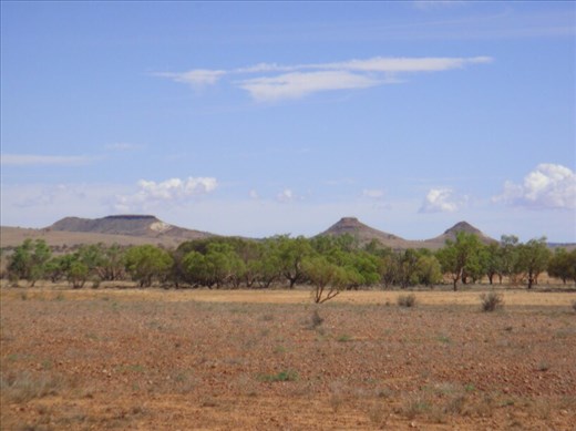 Nearing the Burke and Wills' Dig Tree, QLD