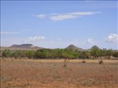 Nearing the Burke and Wills' Dig Tree, QLD: by thomasz, Views[186]