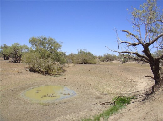 Dried up waterhole, near Burke and Wills' Dig Tree, QLD