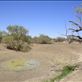 Dried up waterhole, near Burke and Wills' Dig Tree, QLD: by thomasz, Views[231]
