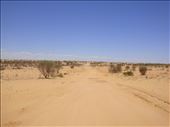 Innamincka Regional Reserve, SA: by thomasz, Views[123]