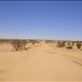 Innamincka Regional Reserve, SA: by thomasz, Views[115]