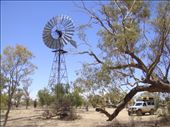 Windmill, Innamincka Regional Reserve, SA: by thomasz, Views[173]