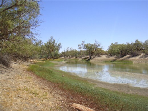 Waterhole, Innamincka Regional Reserve, SA