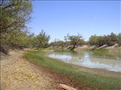 Waterhole, Innamincka Regional Reserve, SA: by thomasz, Views[147]