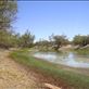 Waterhole, Innamincka Regional Reserve, SA: by thomasz, Views[137]