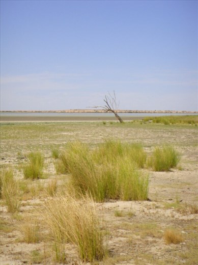 Looking for water in Coongie Lake, Innamincka Regional Reserve, SA