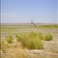Looking for water in Coongie Lake, Innamincka Regional Reserve, SA: by thomasz, Views[150]