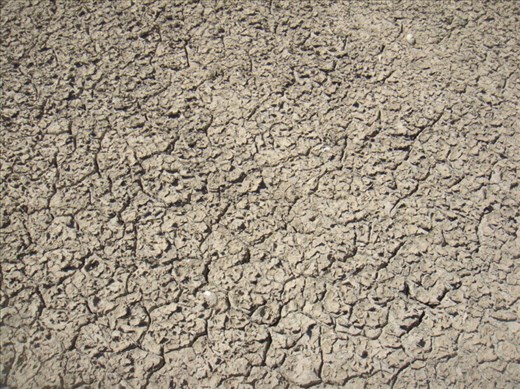 Bone dry, Coongie Lake, Innamincka Regional Reserve, SA