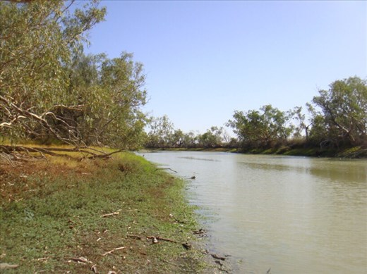 Another waterhole, Innamincka Regional Reserve, SA