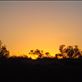 Sunset, Innamincka Regional Reserve, SA: by thomasz, Views[156]