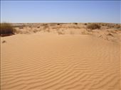 Ripples in the sand, Innamincka Regional Reserve, SA: by thomasz, Views[76]