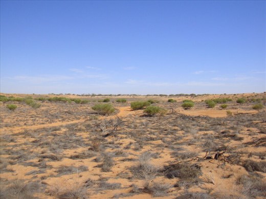 Around Coongie Lake, Innamincka Regional Reserve, SA