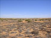 Around Coongie Lake, Innamincka Regional Reserve, SA: by thomasz, Views[171]