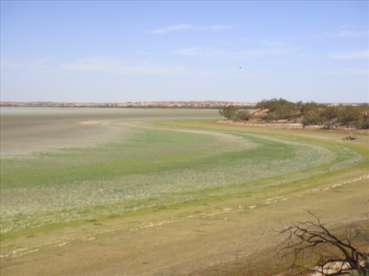 Tracking the shoreline of Lake Coongie, Innamincka Regional Reserve, SA